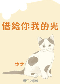 言情丨全糖情节爆好看、耿直暖男肉香文、严谨自律男主甜文强推！