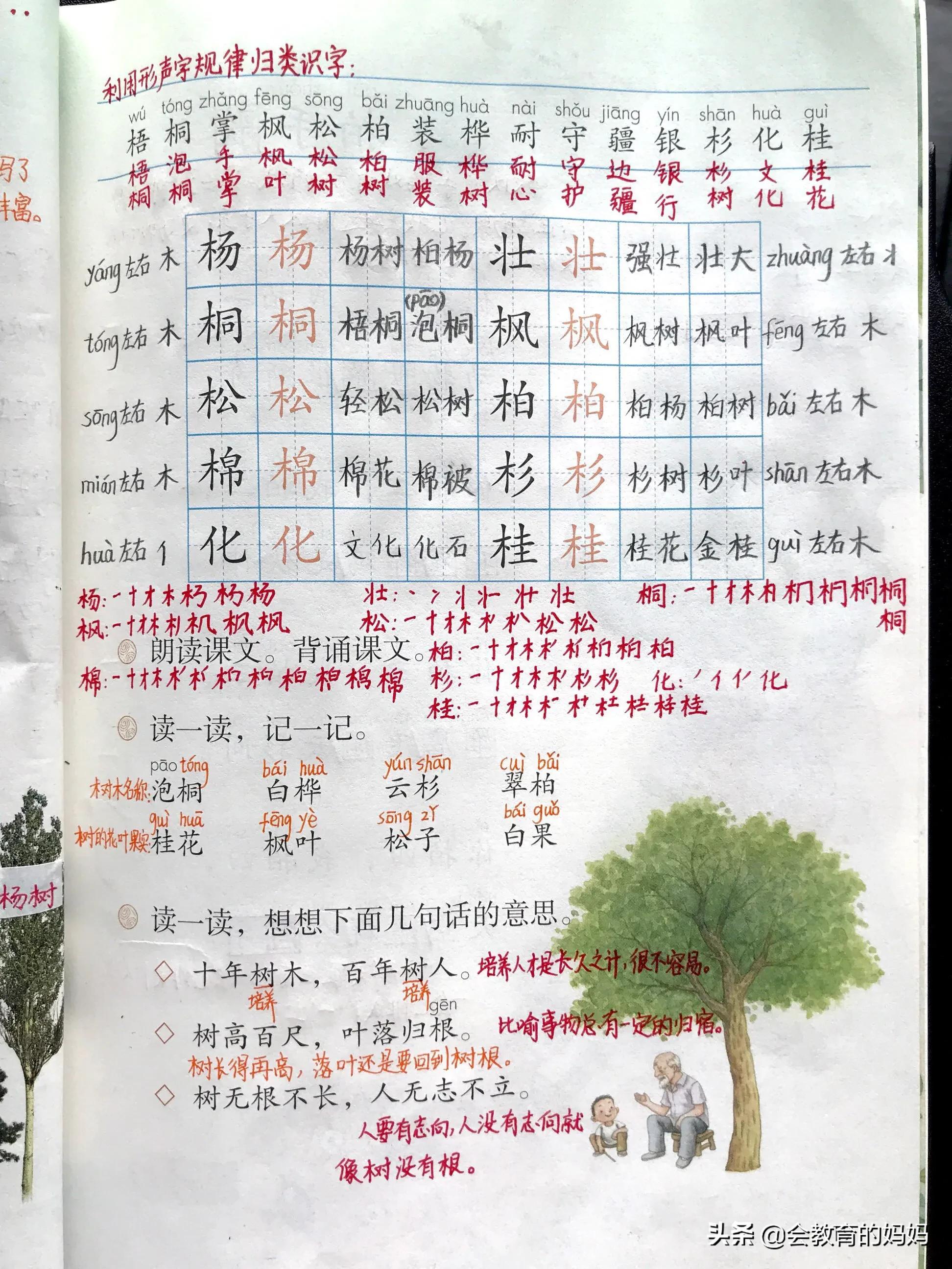 小学语文二年级上册识字2《树之歌》超详细学习笔记、课文结构
