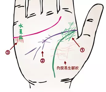 掌纹诊病：可以诊断肝癌、糖尿病、高血压、妇科病、脑溢血