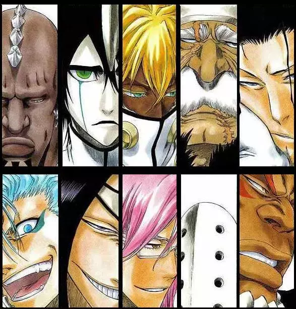 《死神BLEACH》中的十刃,你知道象征哪十种死亡因素吗?