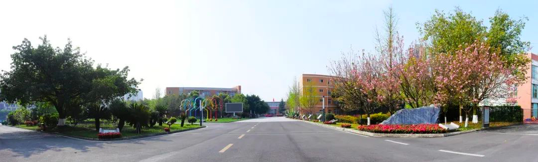 私立首选一贯制直升！成都这些学校可从幼儿园一路读到高中