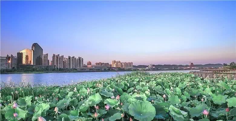 「国庆长假」安逸走四川 养心到遂宁：自我介绍篇
