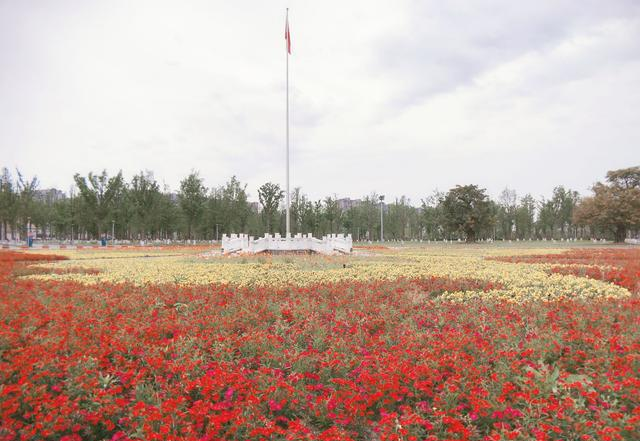 重点大学中外合办专业，优缺点都有3个，你会不会报考？