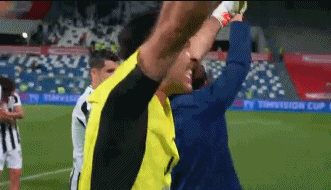 c羅歐冠圖片尤文（2-1，尤文拼出冠軍！C羅大滿貫，布馮振臂狂吼，皮爾洛哭了）