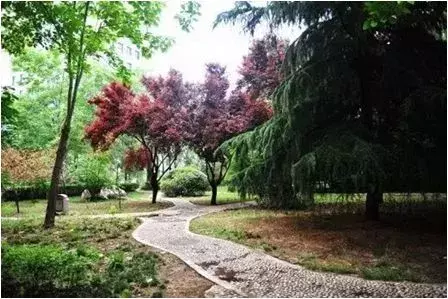 2019年参加高考的学生注意啦！请关注济源职业技术学院这条消息！