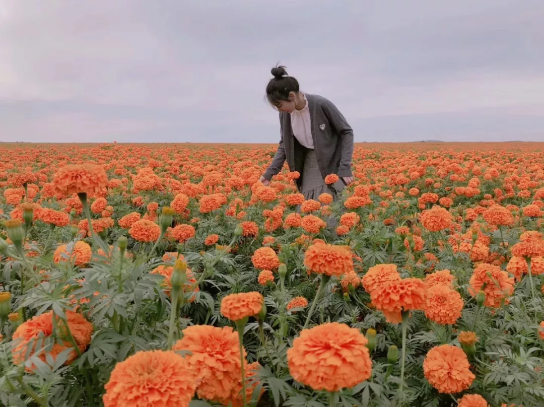 盘点西安美女超多的大学！惊艳到流鼻血
