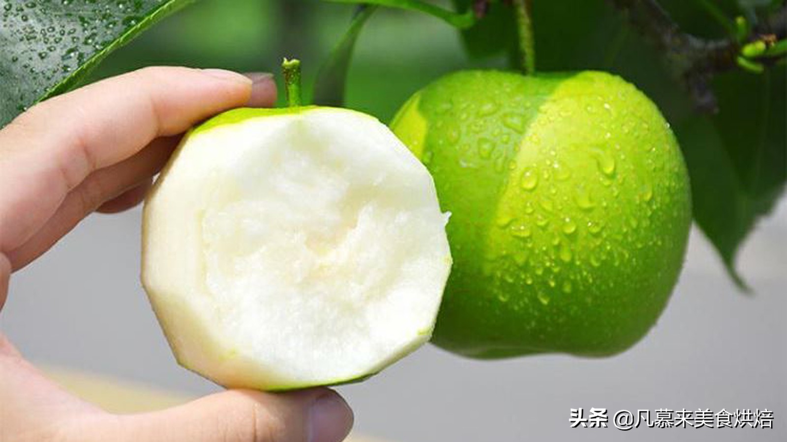 苹果梨图片（盘点全国最好吃的50种梨快收藏）