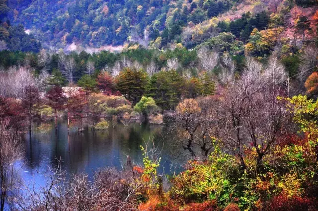中国醉美秋色在秦岭,2条自驾路线解锁最绚烂秋景,10月最美