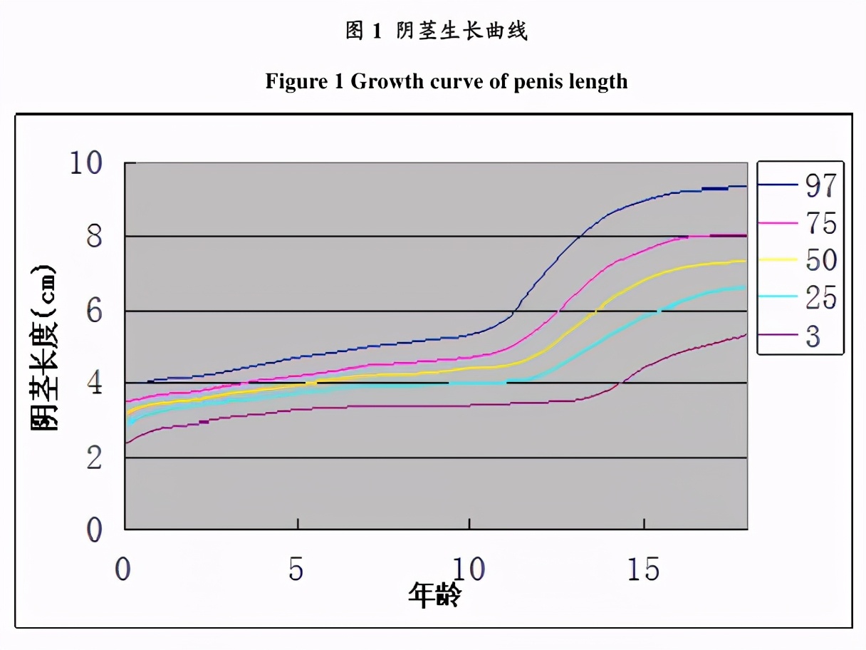 阴径有多长图(男宝小JJ多大算正常？最怕这种先天畸形)