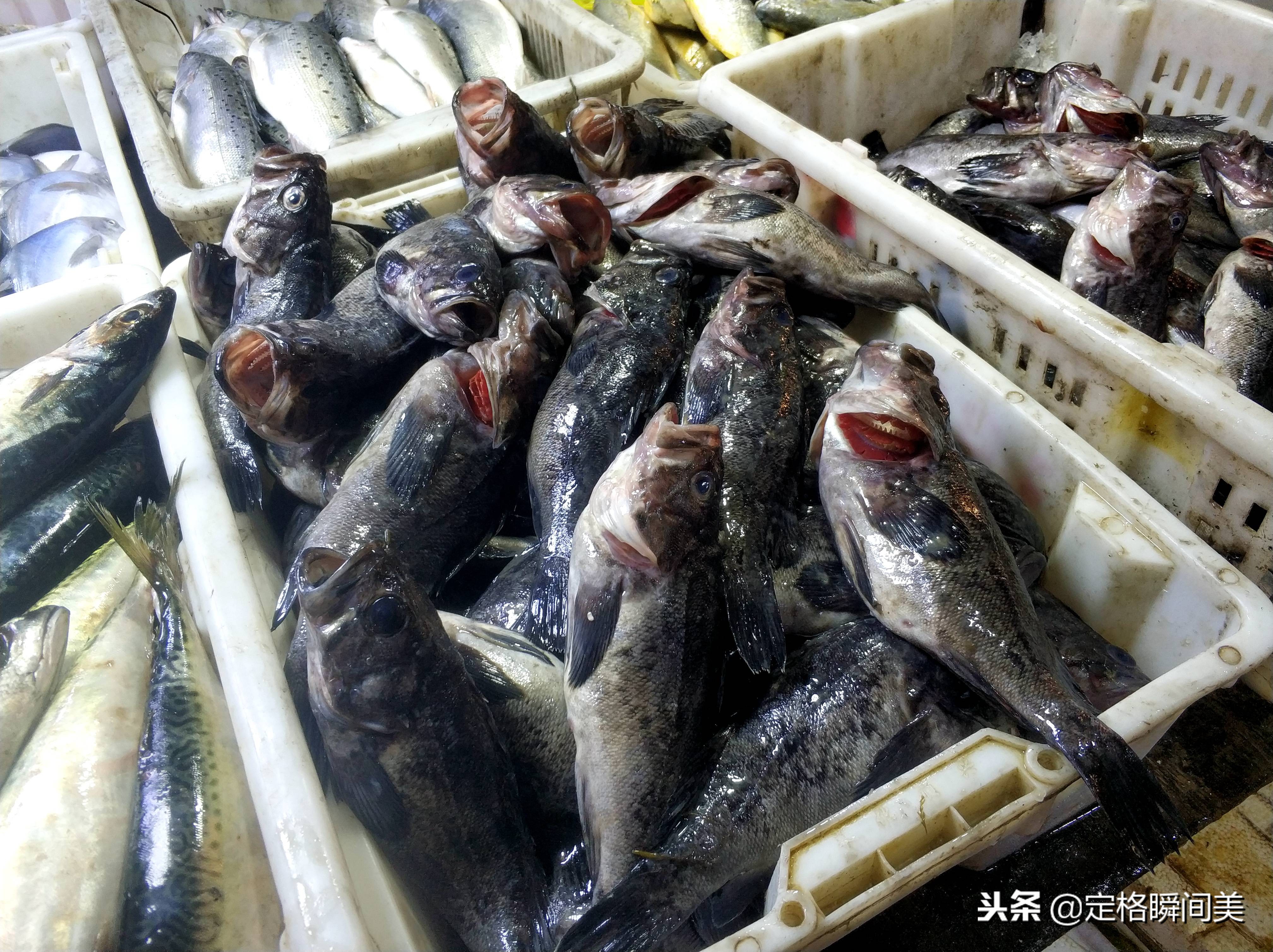 实拍冬季青岛海货市场 黑头鱼30元一斤 大闸蟹16元一只 种类齐全