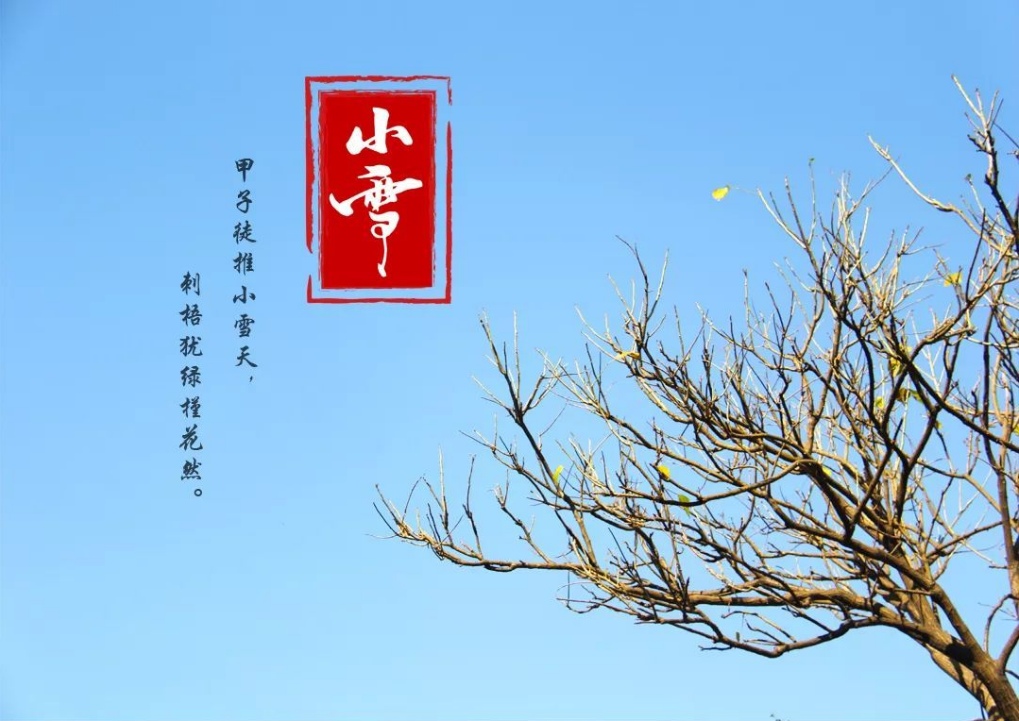 6 首小雪节气唯美古诗词 | 小雪已晴芦叶暗，长波乍急鹤声嘶