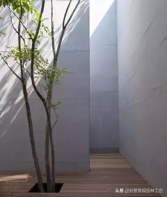 清灰色调的简奢别墅庭院设计，一面素实水泥墙，美了一个院子