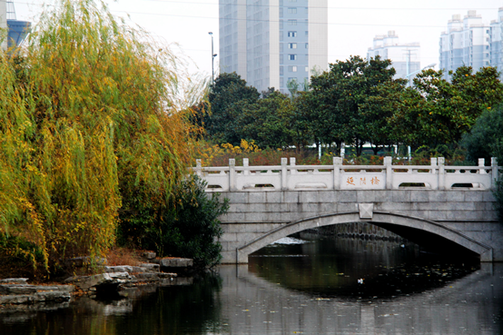 电子信息类高职专科院校实力排名，深职第三，前两名哪两所学校？