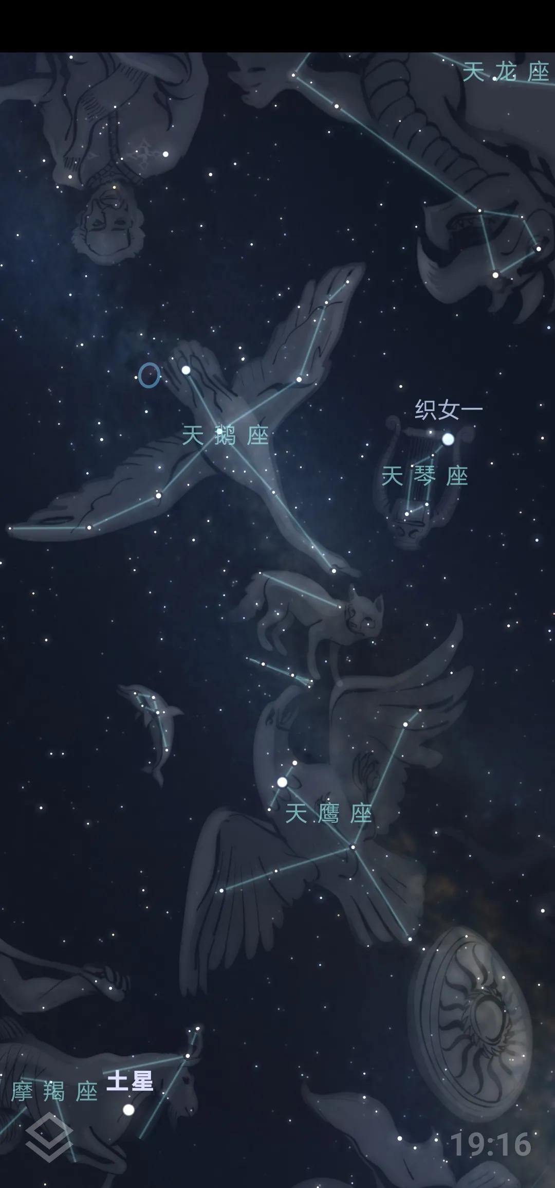 牛郎星是什么星座