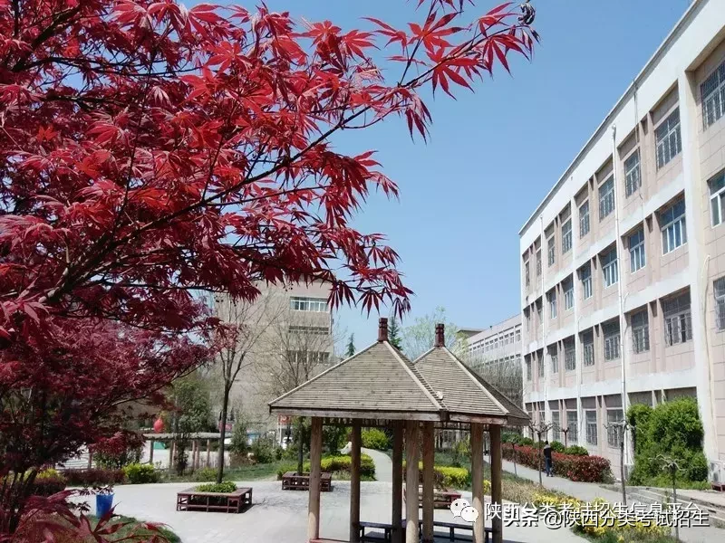 【国家公办】陕西青年职业学院2019年分类考试招生简章及院校介绍