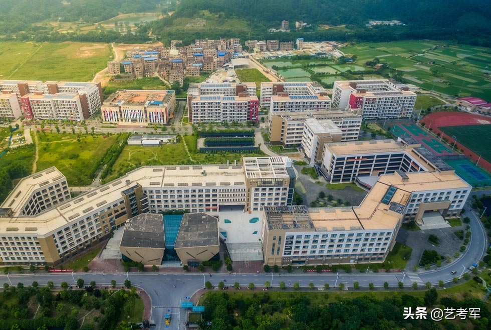 广西艺术学院：美术类艺考生不分文理科文化最低控制线305分