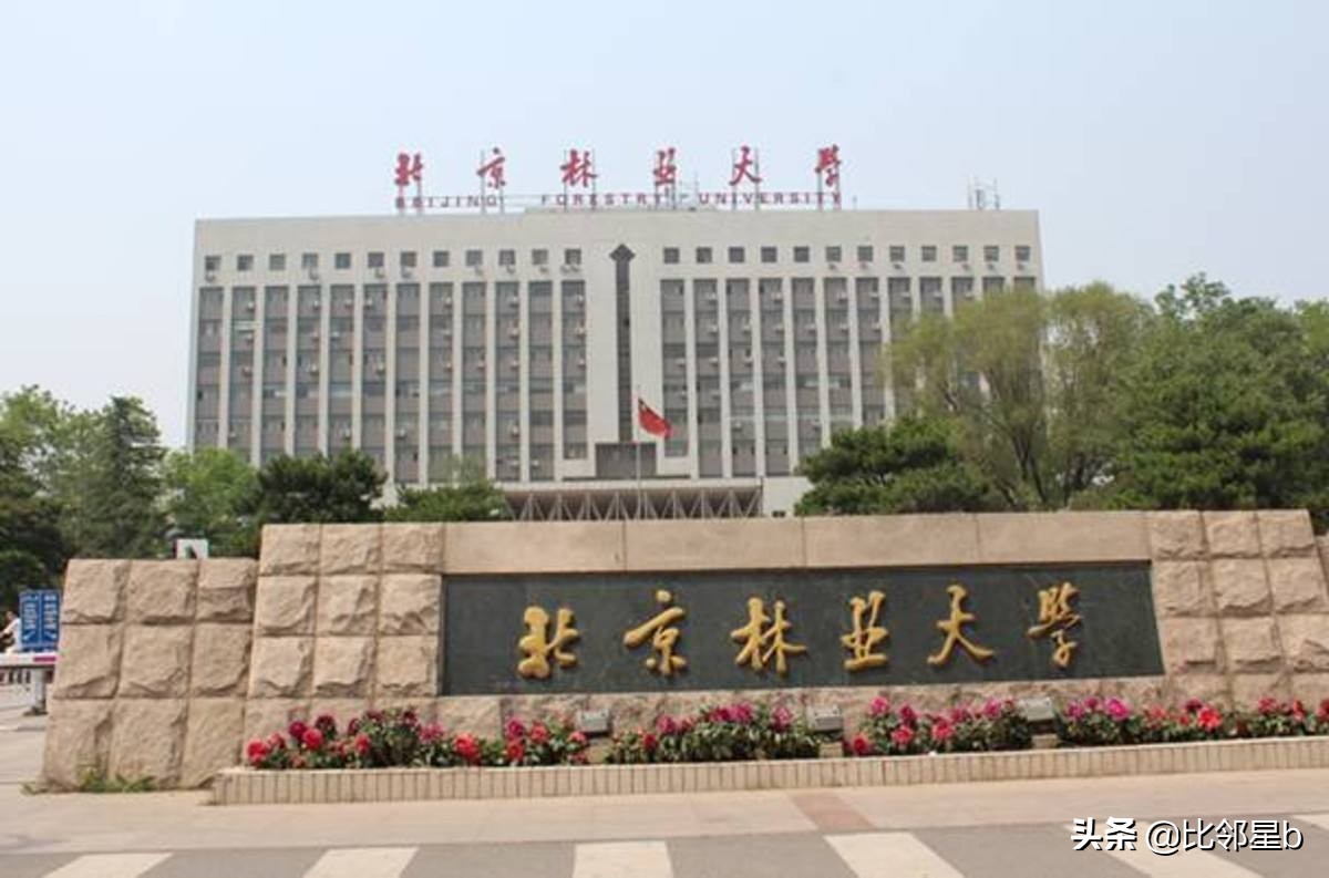 手慢无，6月4日捡漏调剂北京林业大学、西北工业大学、贵州大学