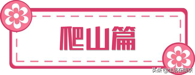 南京小长假出游全攻略，采摘、爬山、踏青、放风筝、博物馆汇总