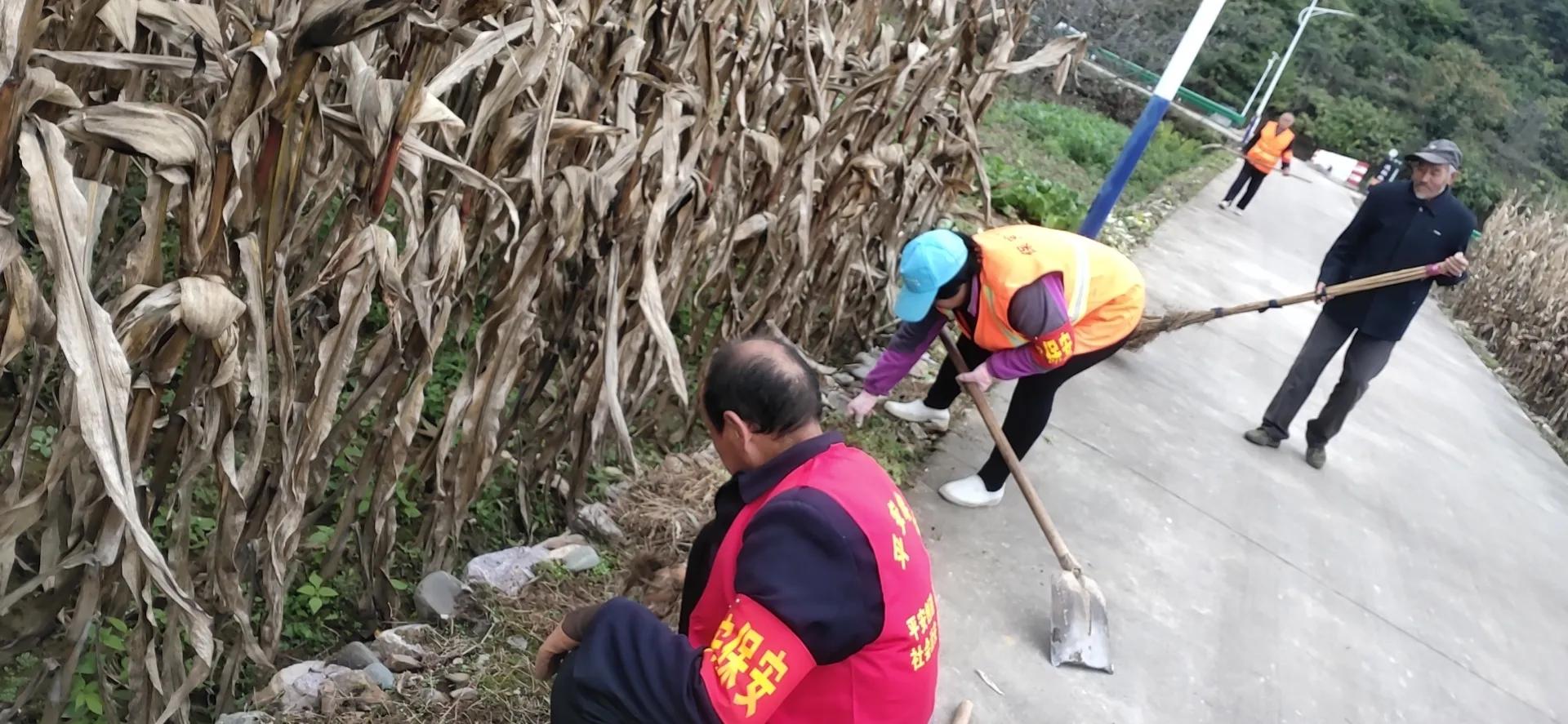 陕西洛南保安镇开展集镇管理及人居环境卫生集中治理