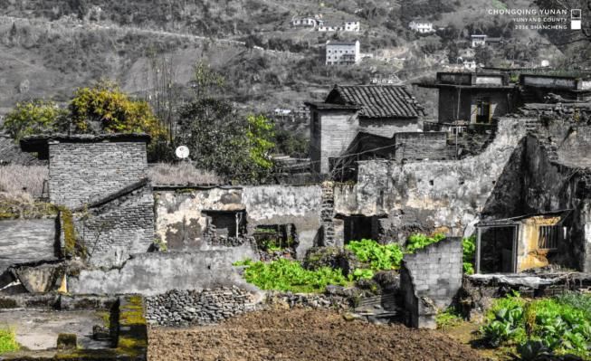 江南帅气学霸， 中国大学生自强之星！