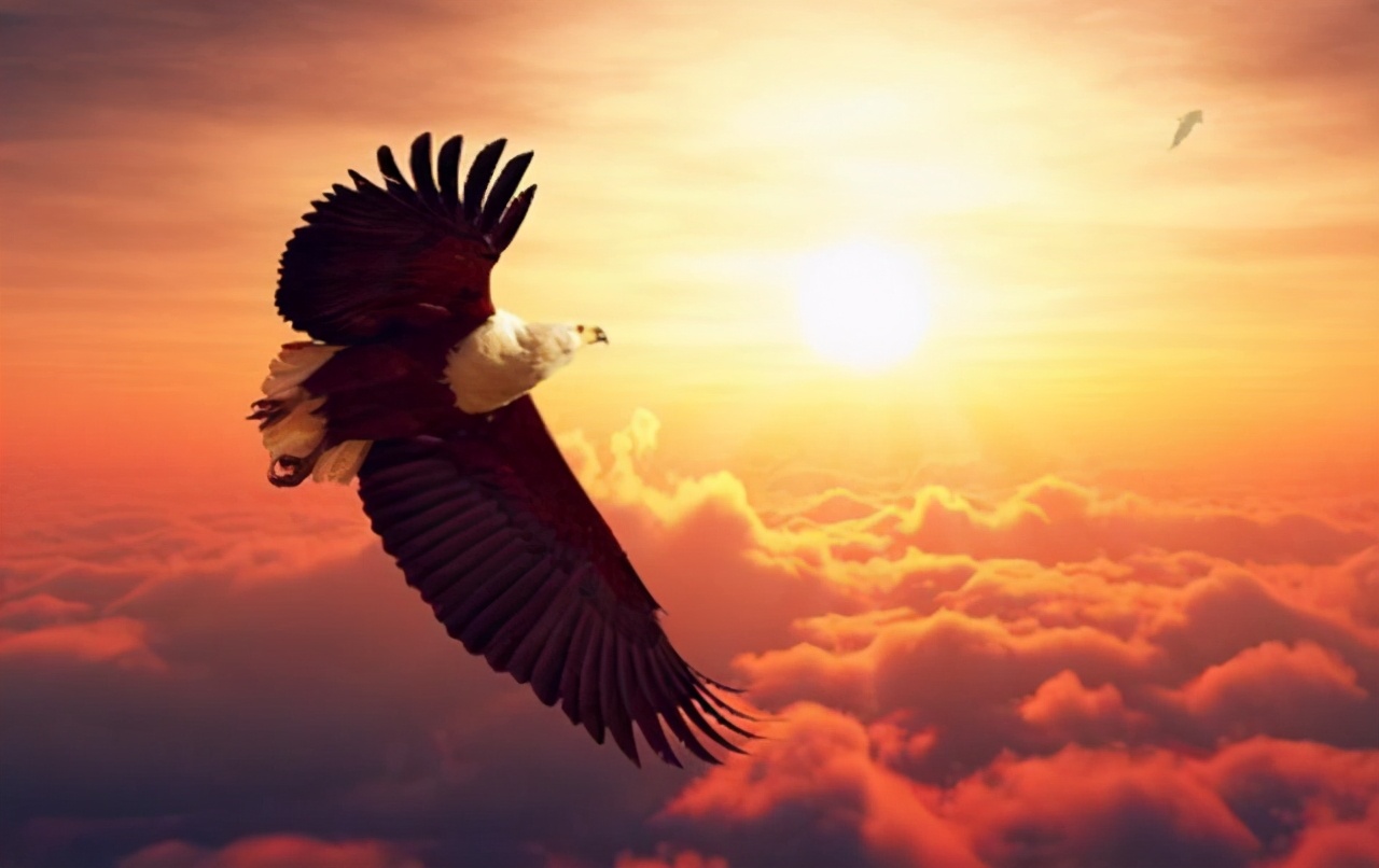 不妨看看《庄子》鲲化为鹏,由量变到质变的超越