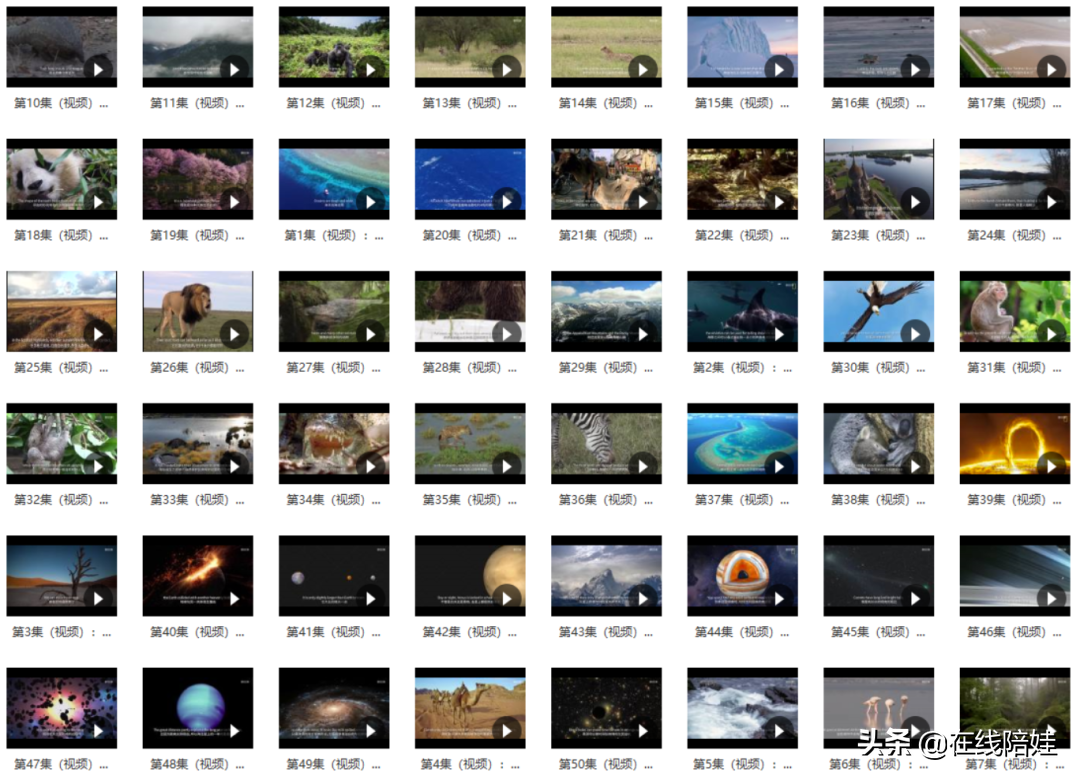 惊艳的视听盛宴，国家地理科普百科双语50集，孩子学习太适合了