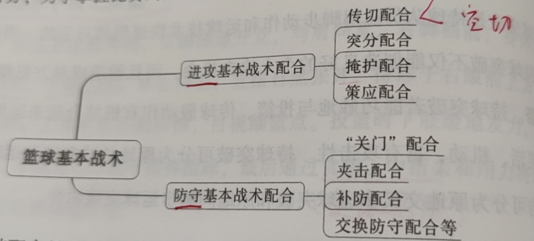 篮球比赛中有多少种时间比例(硬核科普~  篮球运动的主要技术、战术)