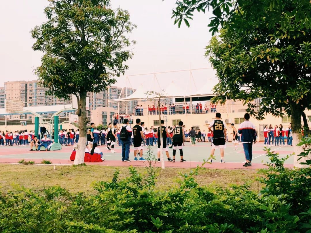 老破小一平10万+！我们走遍厦门18所名校，为你曝光最贵学区房！