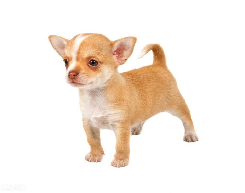 �������ԣ���ֻ���������б��������������������ı�ʲôȱ��