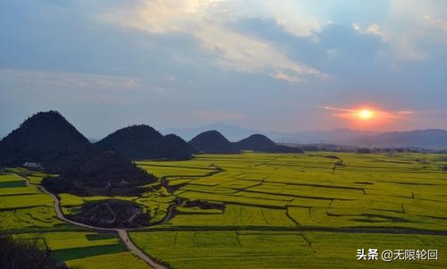 10首最美的油菜花诗：别拿菜花不当花
