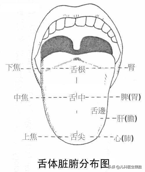 婴儿舌头（1分钟学会看宝宝舌苔）