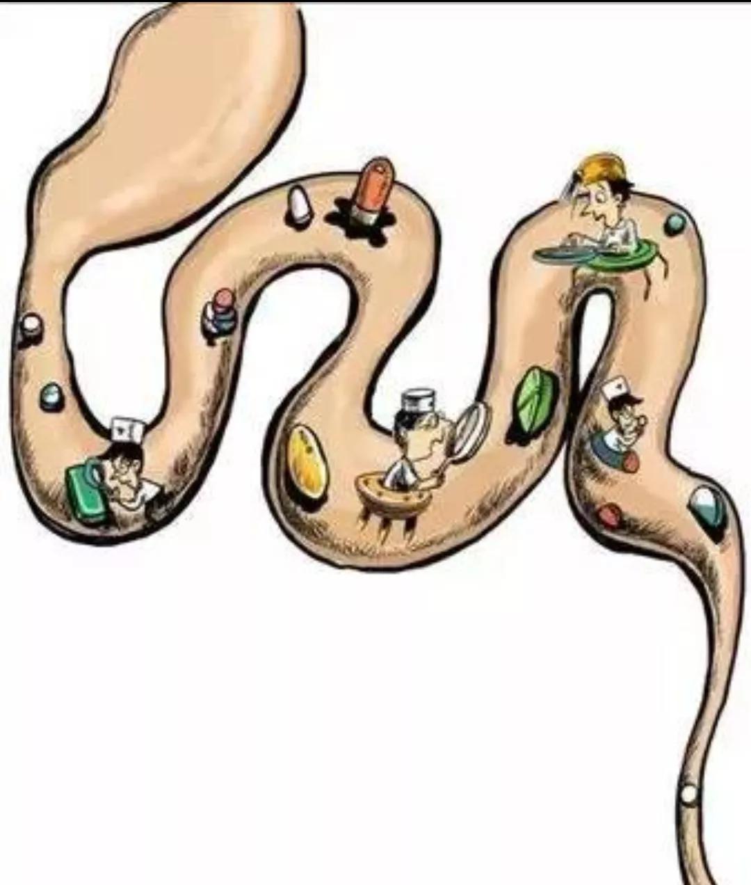 肠镜检查的准备及注意事项。“大菊为重”，为减少误差，建议收藏