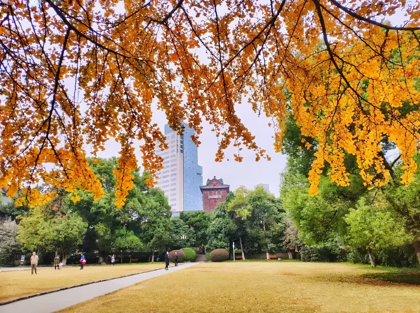 理科：物、化、生三大专业硬核大学实力排行榜！精选