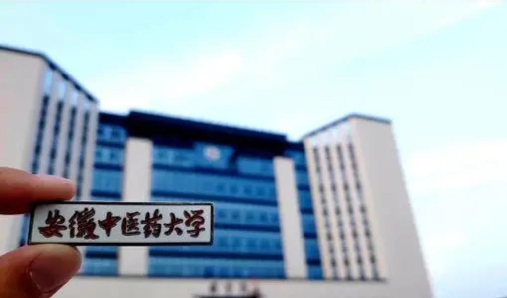 安徽连丢了两张身份证的考生，高考成绩怎么样？考上本科没有问题