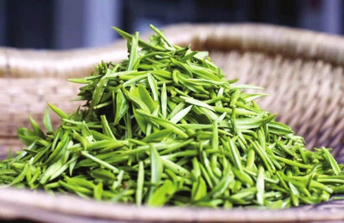 洞庭碧螺春的四绝是什么（碧螺春茶四绝的特征）