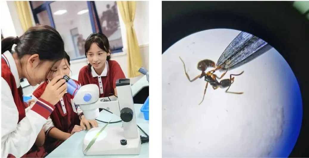 京郊这所学校，真真了不得