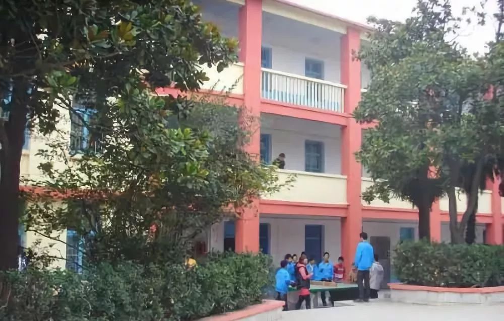 年薪20万孩子上不起学？合肥TOP10学区房or上民办究竟有多贵？