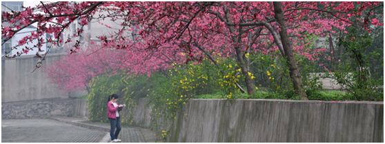 就业率98%、一大批学生考研清华！报考湖北这所大学，前景广阔