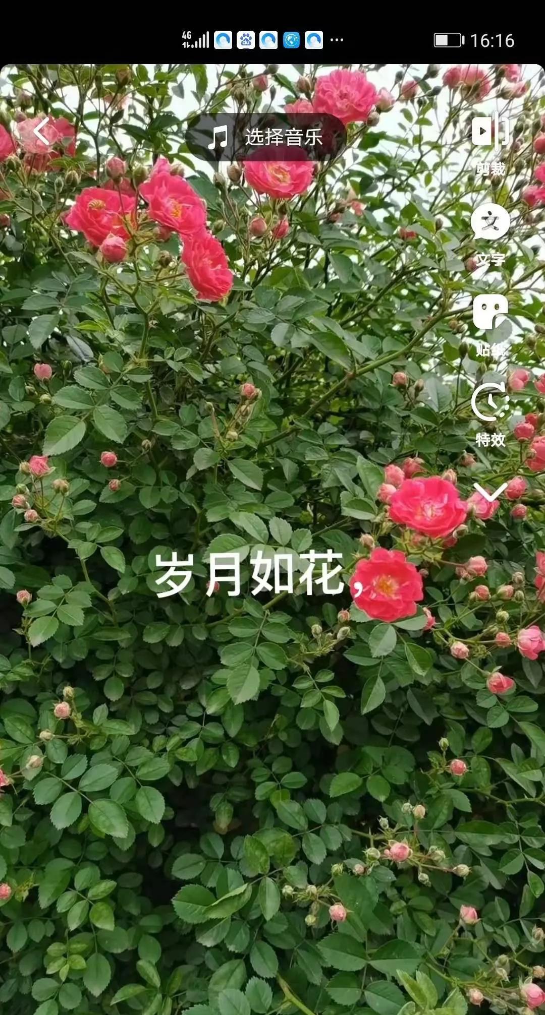 如何添加文字让你的抖音作品更有吸引力？下面的方法，学一遍就会