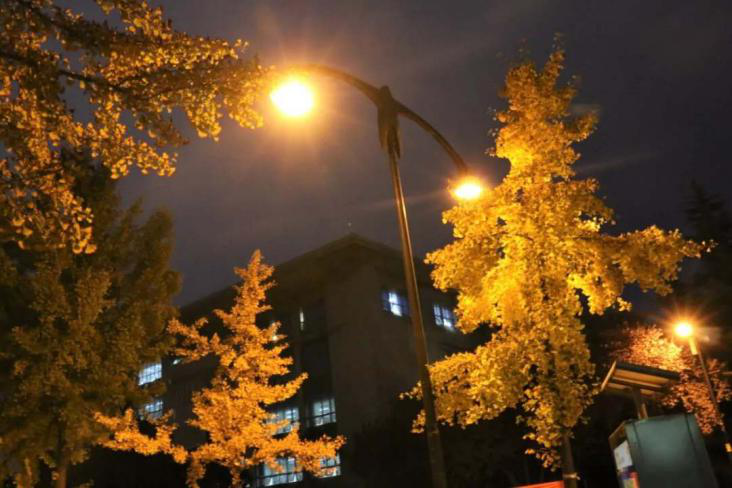 为什么选择西安邮电大学，这10个理由足够让你心动