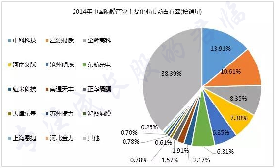 反转！新能源黑马逆袭称王