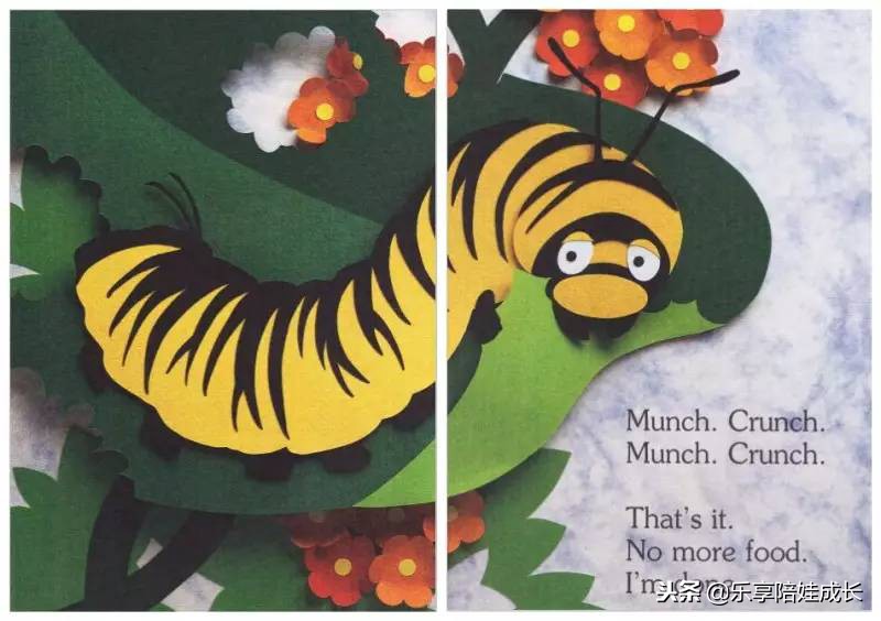 绘本磨耳朵：I'm a Caterpillar 中文《我是一条毛毛虫》！