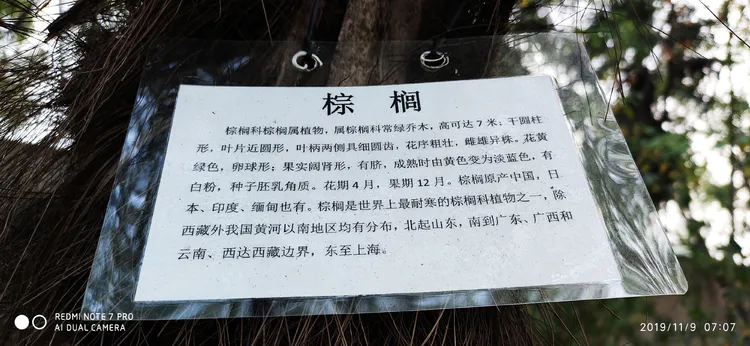 陪你一起看湖北省广水一中①——走进植物王国