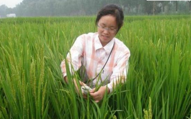 高考分数661分，考生被浙大“王牌专业”录取，全家人却笑不出来