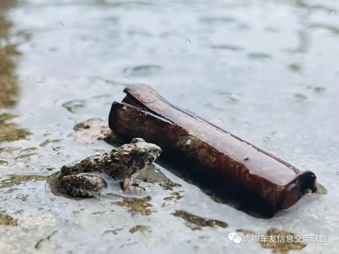 福建车茶机车俱乐部之初秋踏板局骑行游记