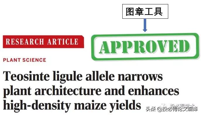 好用的pdf软件有哪些，超好用的7大PDF工具汇总？