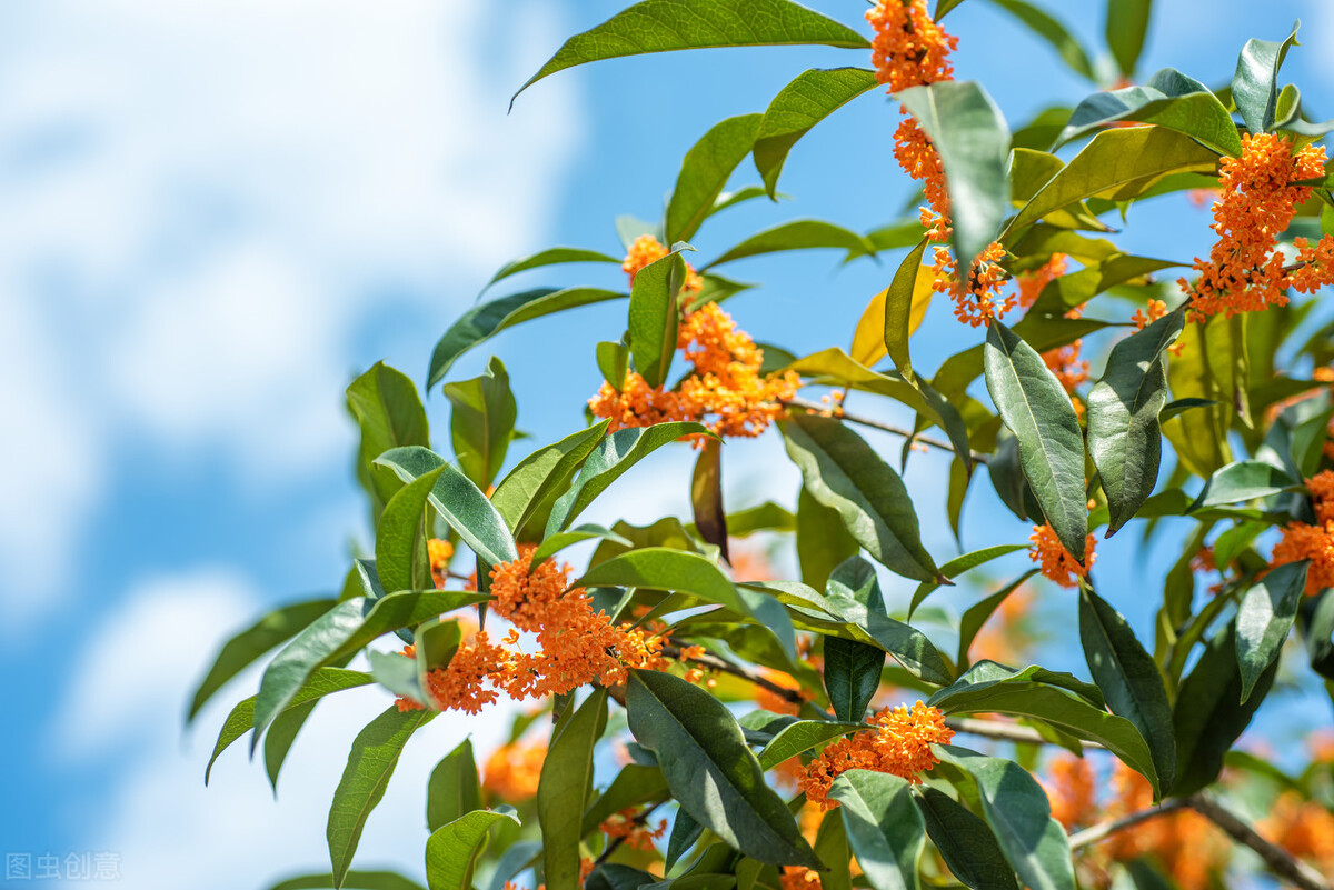 2021浙江外国语学院录取分数