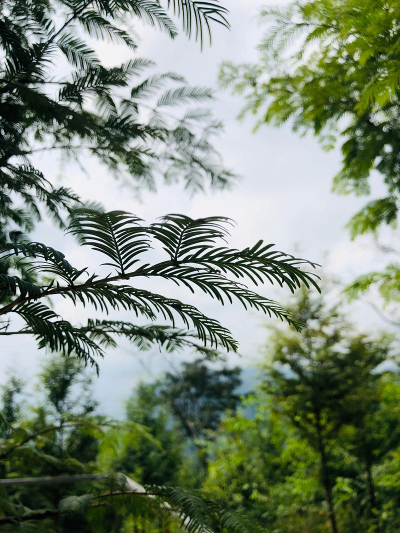 避暑计划：海子山避暑十二时辰