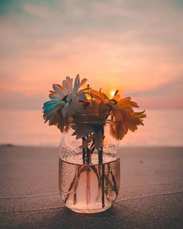 暗恋的烟花的唯美句子_晶羽科技