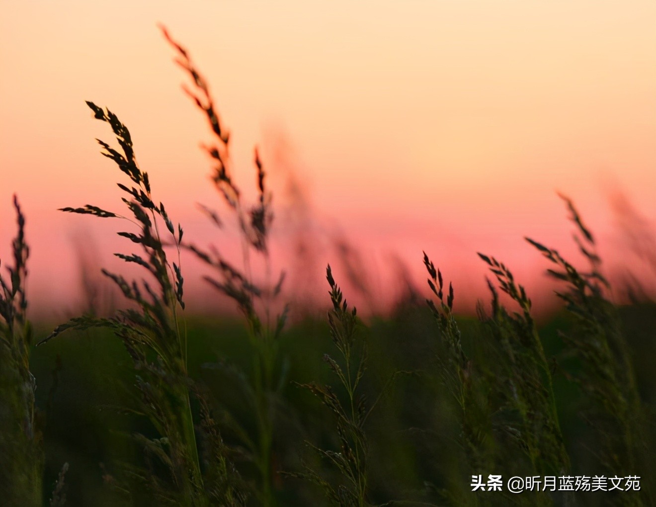 我多想见你一面，写给惦记的你